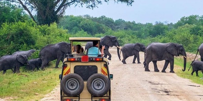 10 Day Northern Tanzania Safari - Photo 6