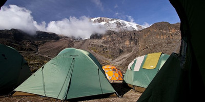 8 days lemosho route kilimanjaro climbing - Photo 6