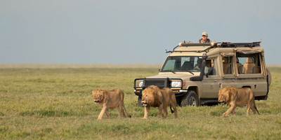 4 day tanzania camping safari - Photo 6