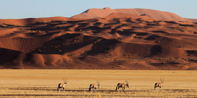 4 Days Damaraland & Skeleton Coast-Namibia(Lodging) - Photo 4