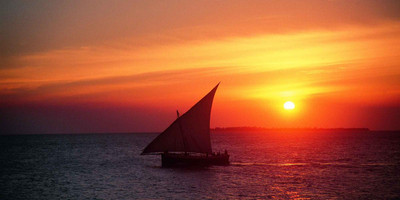 A taste of zanzibar - 6 days - Photo 4