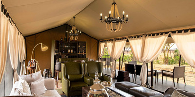 3 day mikumi luxury tented camps safari - Photo 1