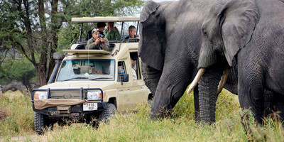 10 days wildebeest migration crossing mara river. - Photo 7