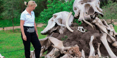 5 days tanzania camping budget safari - Photo 6