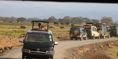 3-day thrilling vacation in lake nakuru national park - Photo 4