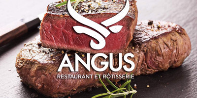 Angus - Photo 5