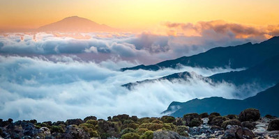 Mount kilimanjaro hike 5 days marangu route - Photo 10