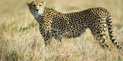 Mount kilimanjaro 7days machame route - Photo 4