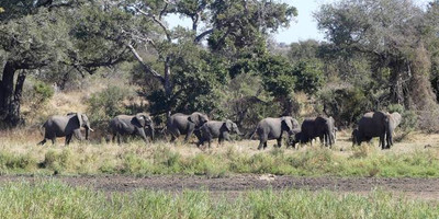 3 Days On Budget Safari - Photo 4