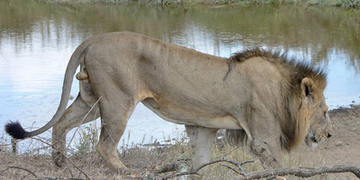 Tanzania budget mobile camping safari - Photo 2