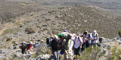 7 days machame route kilimanjaro climb - Photo 7