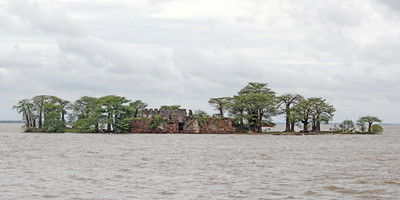 Roots - Photo 9