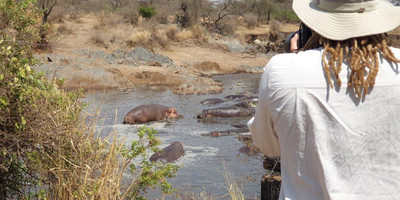 4 days tanzania private safari tour - Photo 5