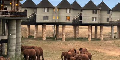 4-day amboseli, tsavo west & tsavo east safari adventure - Photo 5