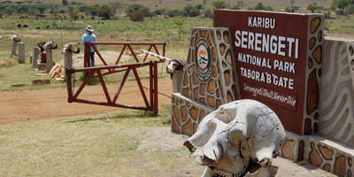 5 days tanzania private safari - Photo 9