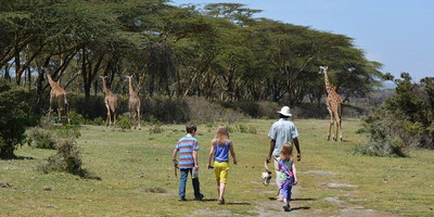 9 days kenya safari experience - Photo 4