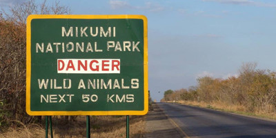 Day trip to mikumi national park by express train - Photo 3