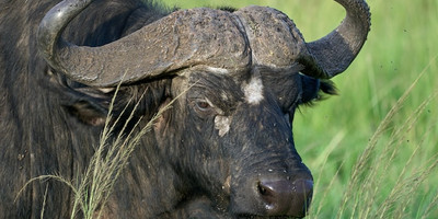 3-day tanzania camping safari - Photo 5