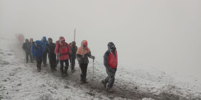 7 days lemosho route kilimanjaro climb - Photo 8