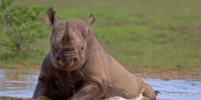 Tanzania classic bush safari adventure - Photo 3