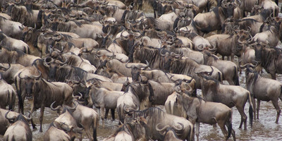 TANZANIA TENTED CAMPS 10 DAYS SAFARI - Photo 7