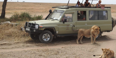 10 Day Tanzania Private Tented Camps Safari - Photo 9