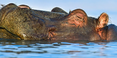 3 days tsavo west budget camping safari - Photo 3