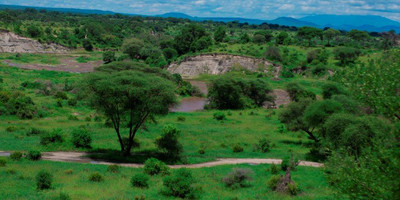 3 day tanzania luxury safari - Photo 6