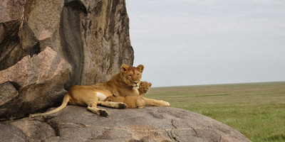 TANZANIA TENTED CAMPS 10 DAYS SAFARI - Photo 4