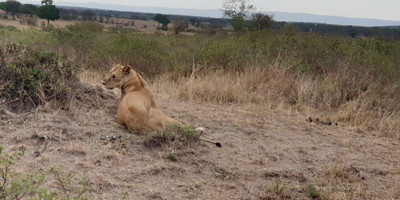 6 days tanzania private safari - Photo 25