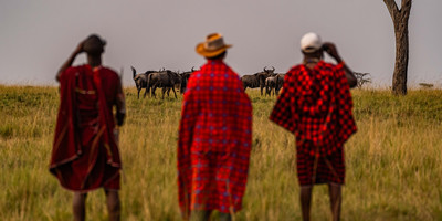 Kenya’s wild heart: a 5-day journey through buffalo springs, samburu & ol pejeta - Photo 9