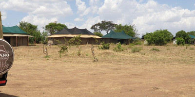 2 days tanzania camping budget safari manyara & ngorongoro - Photo 3