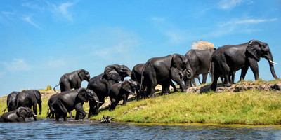7 days tanzania wildlife migrations adventures safari holiday - Photo 2