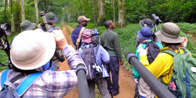 15 days birding expedition to uganda - Photo 8