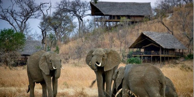 3days Selous Game Reserve - Photo 3