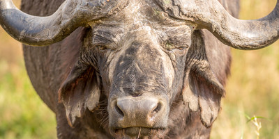 4 days tanzania budget camping safari - Photo 2