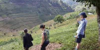 10 days mountaineering rwenzori/ uganda - Photo 3