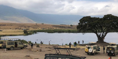 2 days national park ngorongoro crater & tarangire: - Photo 1