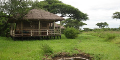 5 Day Budget Wildlife Safari - Photo 3