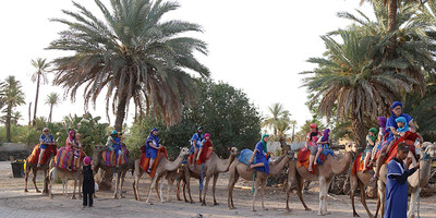 Dromadaires marrakech - Photo 8