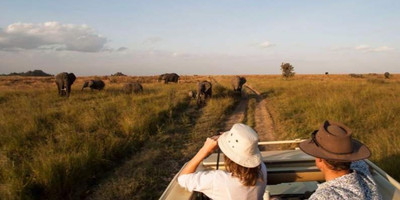 Migration & zanzibar holiday | 11 days - Photo 1