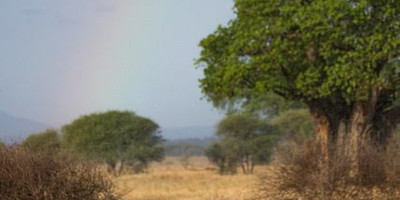 3 day last-minute wildlife safari from zanzibar - Photo 1