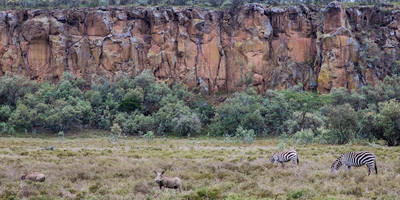 Full day hell's gate national park. - Photo 1