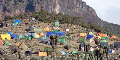 8 days kilimanjaro climb lemosho route - Photo 5