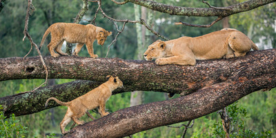 7 days best of tanzania by sassabi expeditions - Photo 1