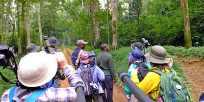 20 days birding trip around uganda - Photo 5