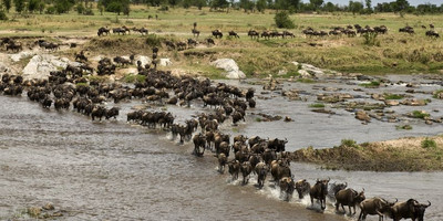 10 Day Northern Tanzania Safari - Photo 2