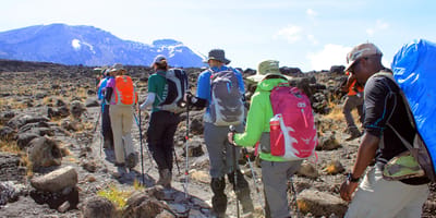 MOUNT KILIMANJARO-LEMOSHO ROUTE 8 DAYS TREKKING - Photo 8