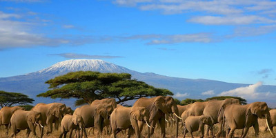 6 days adventure to the maasai mara - Photo 6