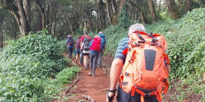 8 days lemosho route - Photo 5